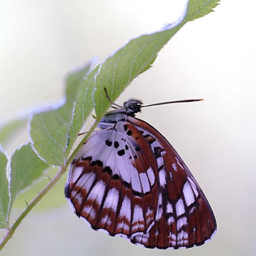 오늘 아침엔177-2탄