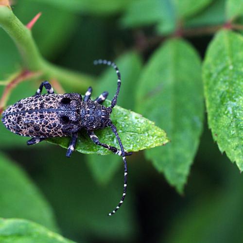 오늘 아침엔177-3탄