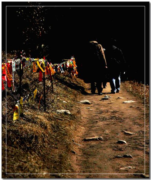 영국사에서 내려오는길에