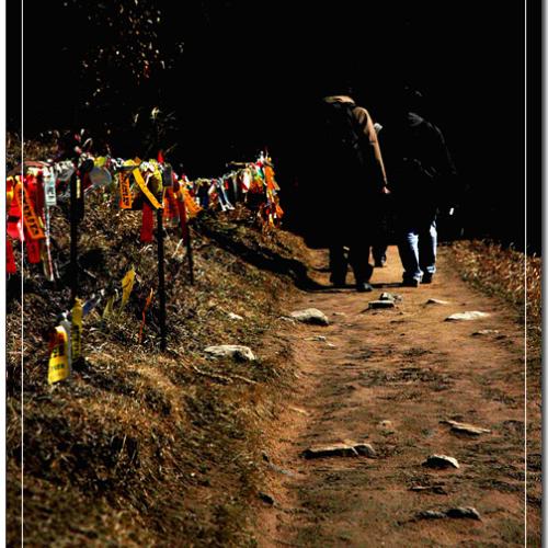 영국사에서 내려오는길에