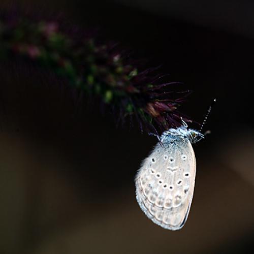 오늘 아침엔127-2탄