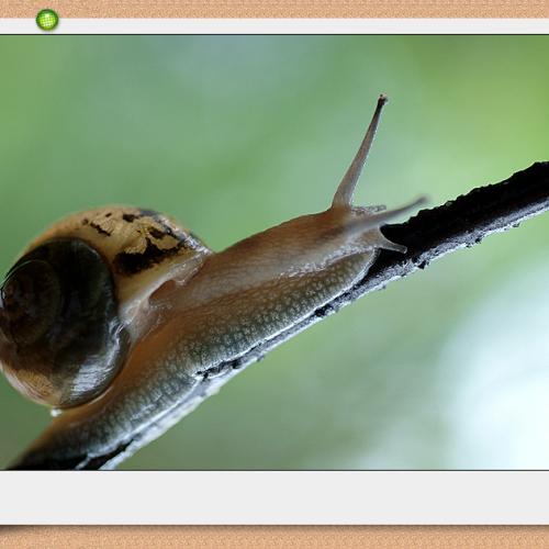 오늘 아침엔 51탄