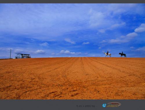 집으로 가는 길