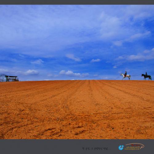 집으로 가는 길