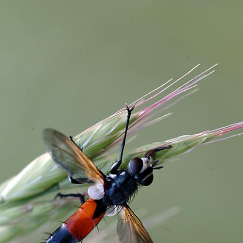 오늘 아침엔178탄