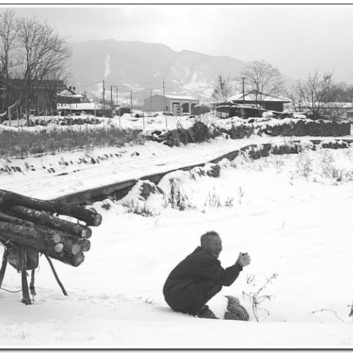 마침 눈이 많이...