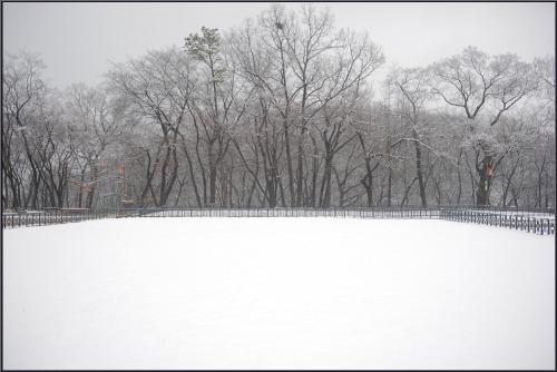 설경(雪景)