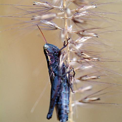 오늘 아침엔127-3탄