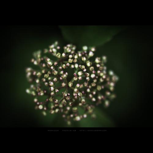 모이거나 퍼지거나.