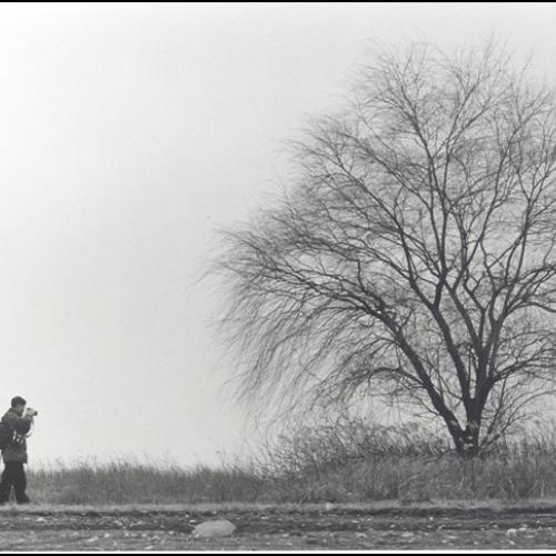 대청호 꽃님이네 아래 ...