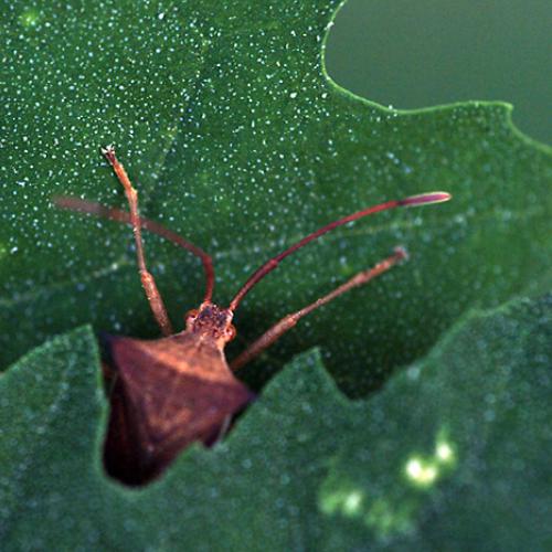 오늘 아침엔178-2탄(숨박꼭질)