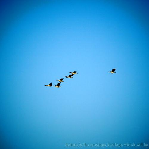 아름다운 비행...