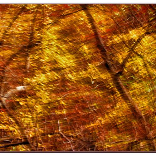 가을 추상(3)......