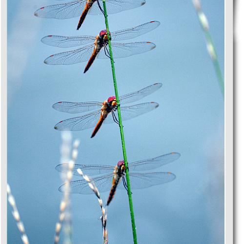 오늘 아침엔 69탄