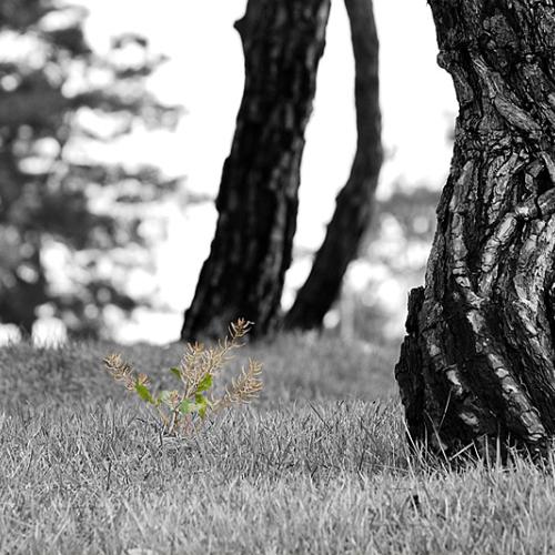 꿈, 그리고 희망