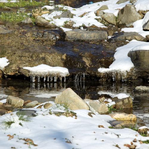눈온뒤 남간정사에서의 소경