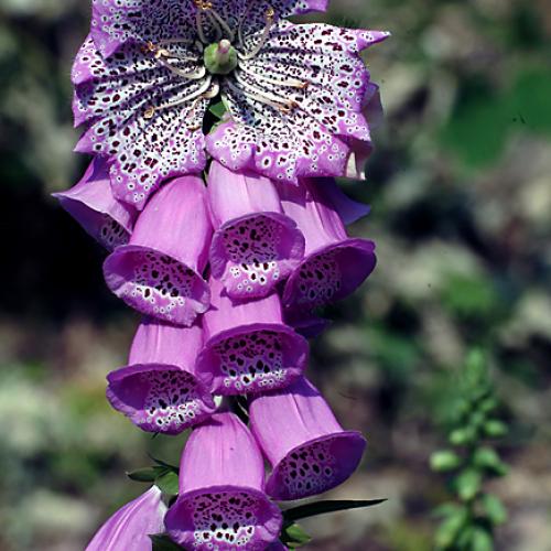 오늘 아침엔179탄