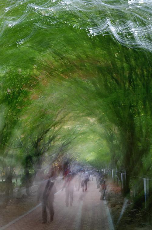 나의 가을은....