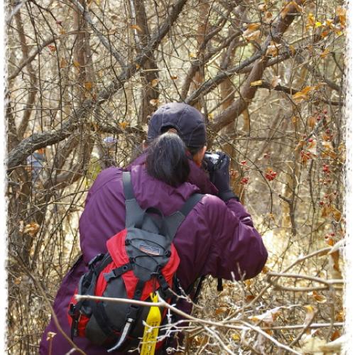 대전둘레산잇기 참여중...