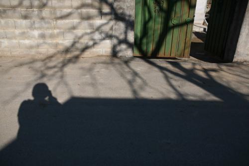 녹색대문과 그림자