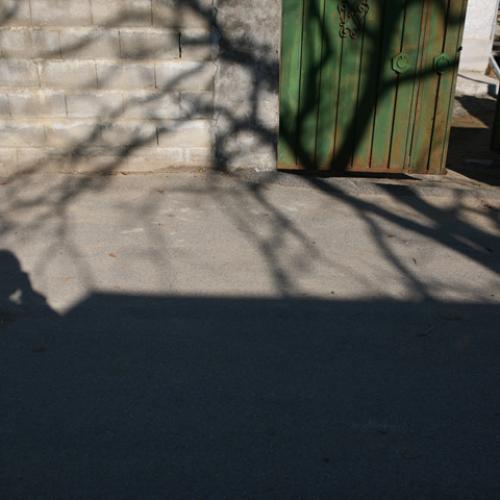 녹색대문과 그림자