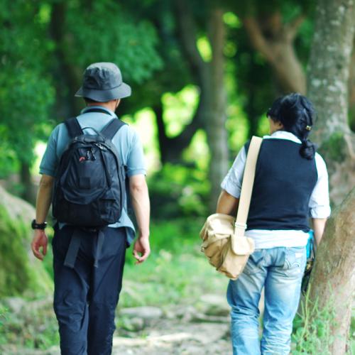 메아리님, 꾸름님, 녹차님...