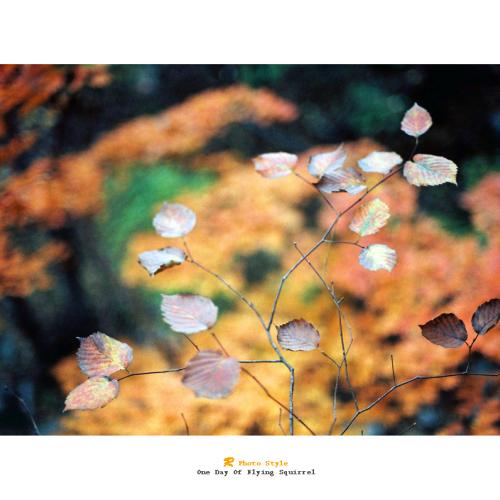 유화 속의 나무..