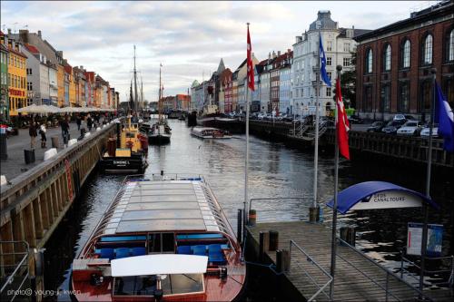 전시회 축하, 문안 인사, 생존 신고용