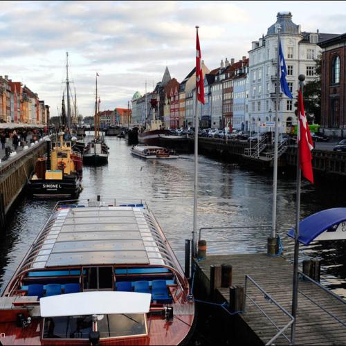 전시회 축하, 문안 인사, 생존 신고용
