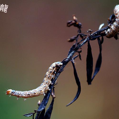 오늘 아침엔131-3탄