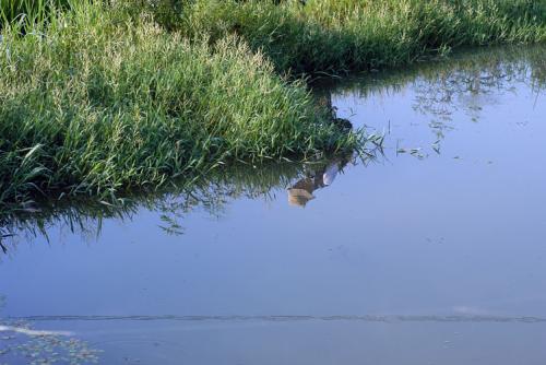 옛풍님과 다향님......
