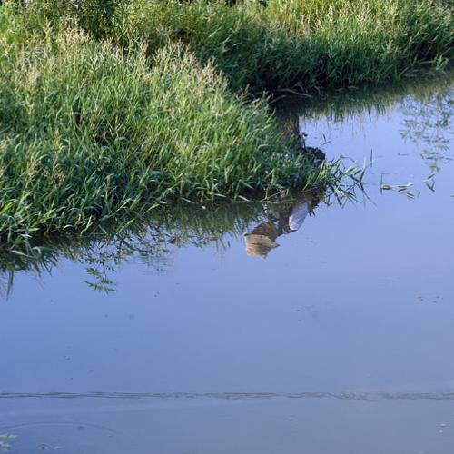 옛풍님과 다향님......