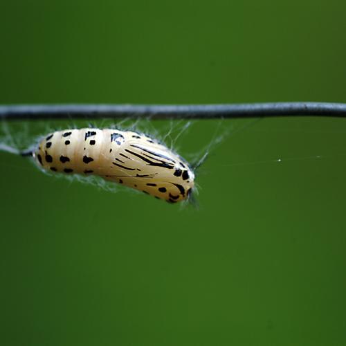 오늘 아침엔179-2탄