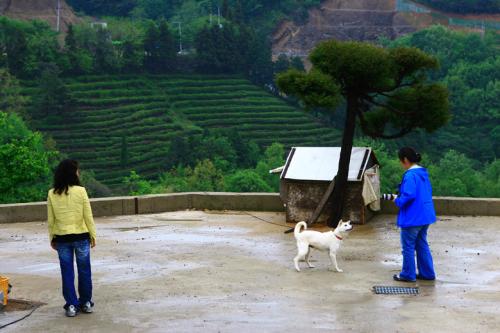 분위기 좋은 진돌이네집...