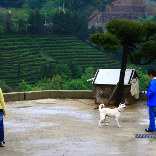 분위기 좋은 진돌이네집...