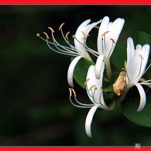 오늘 아침엔53탄