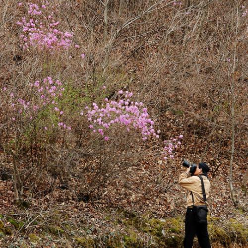 위트가 넘치시는..