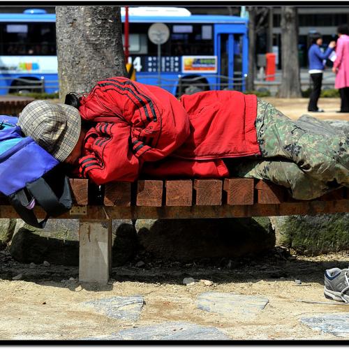 봄 기운을 품고..