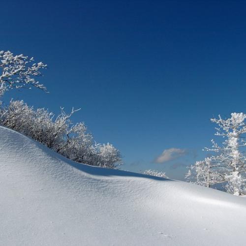 지리종주-하얀 눈밭 사이로