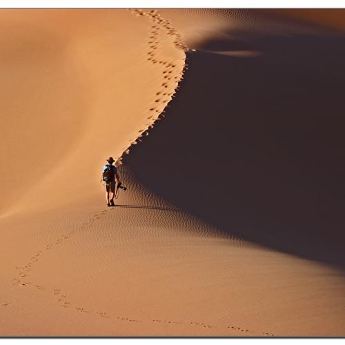 사막을 홀로 걷다.........