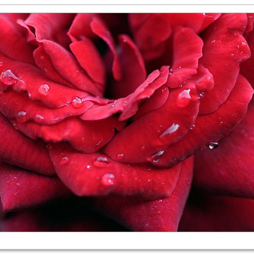 오늘 아침엔 54탄