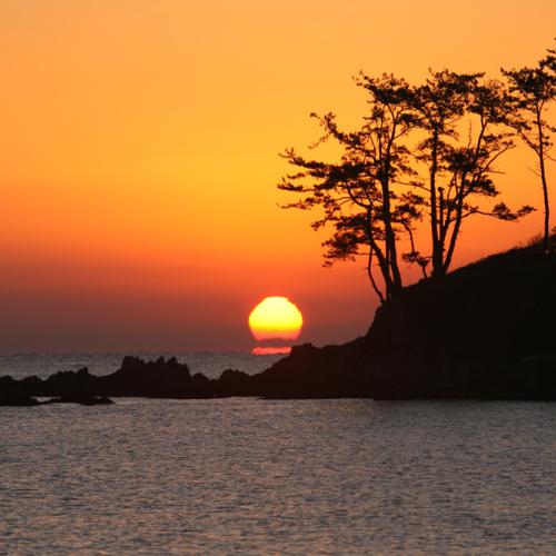 새해복많이받으세요