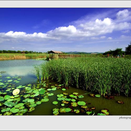 모처럼 하늘 열린 날