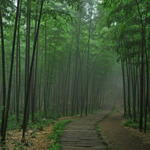 사천성 여행중에,,