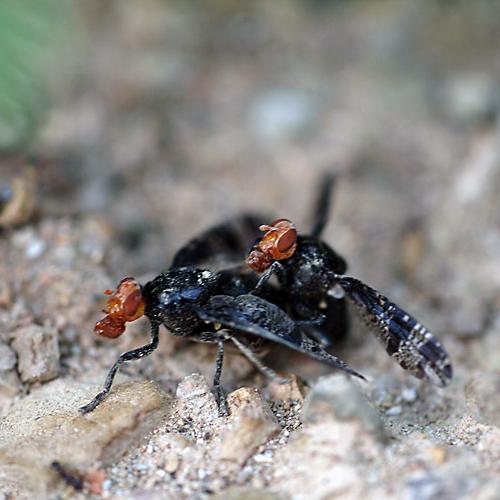 오늘 아침엔180(어부바)