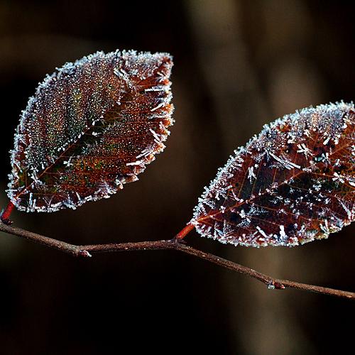 오늘 아침엔133탄