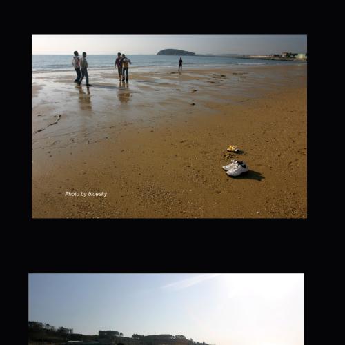 동백정바다가에서