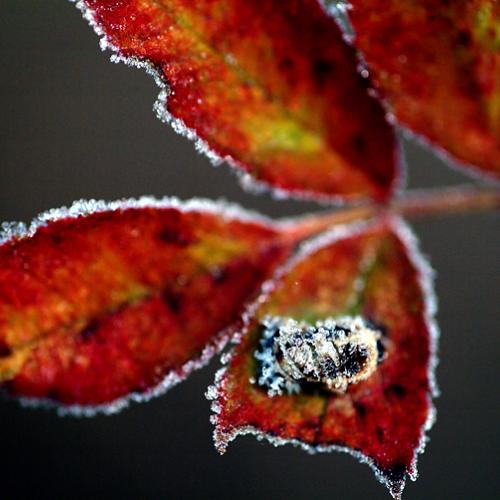 오늘 아침엔134탄(쓸쓸한 주검)