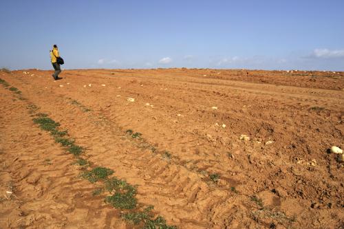 바람 불어 좋은 날