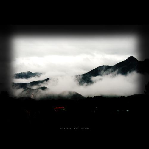 혼자서 갔던 양촌